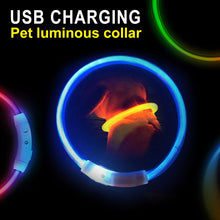 USB Charging LED Dog Collar With Flashing Light