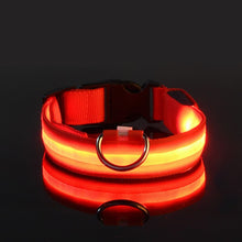 Rechargable Dog LED Flashing Collar