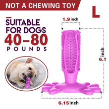 Meat-Flavored Dog Toothbrush