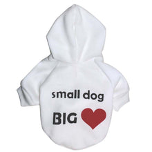 Funny Text Dog Clothes