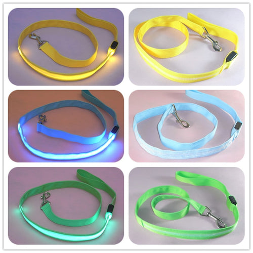 Glow In Dark Dog Collar